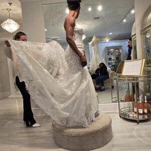 ICON by Alexander Wedding Gown Stunning!!